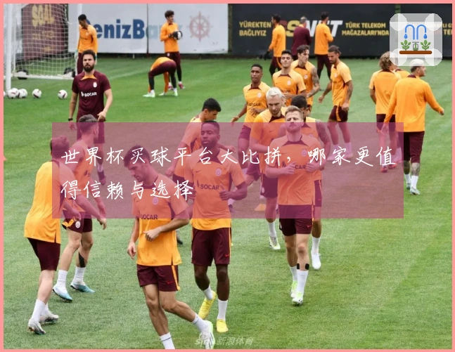 世界杯买球平台大比拼，哪家更值得信赖与选择