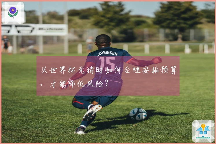 买世界杯竞猜时如何合理安排预算，才能降低风险？
