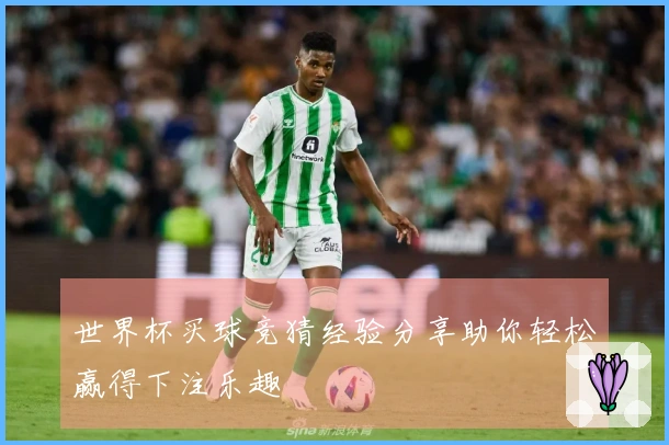 世界杯买球竞猜经验分享助你轻松赢得下注乐趣