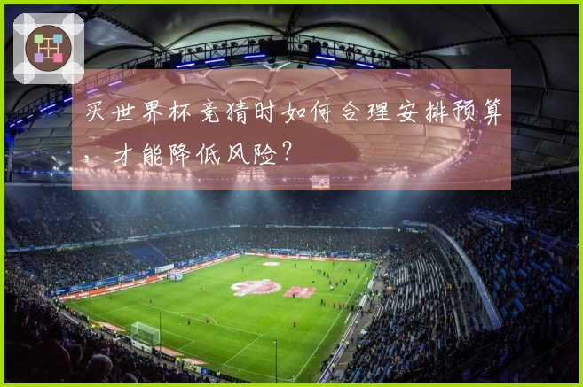 买世界杯竞猜时如何合理安排预算，才能降低风险？