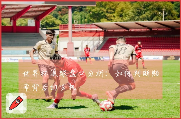 世界杯滚球盘口分析：如何判断赔率背后的玄机