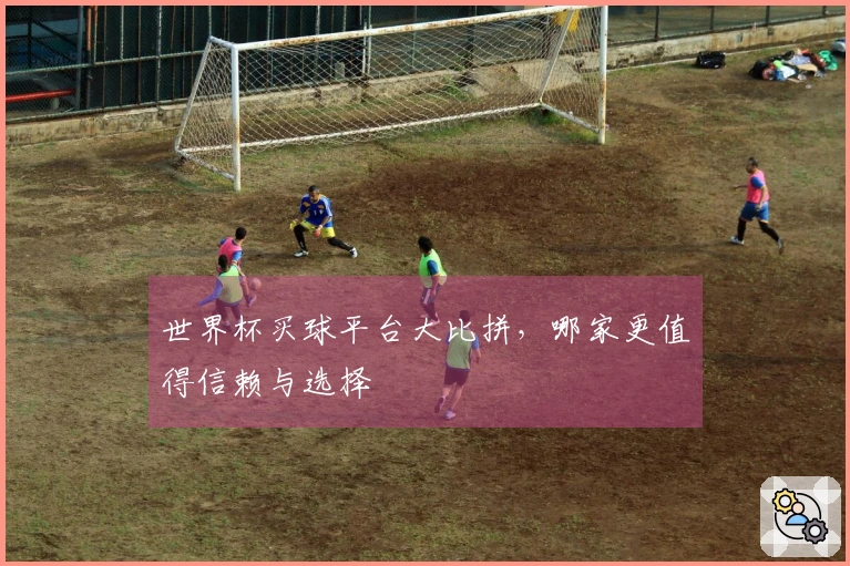 世界杯买球平台大比拼，哪家更值得信赖与选择